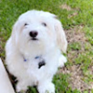 Meet your Posher, Catherine